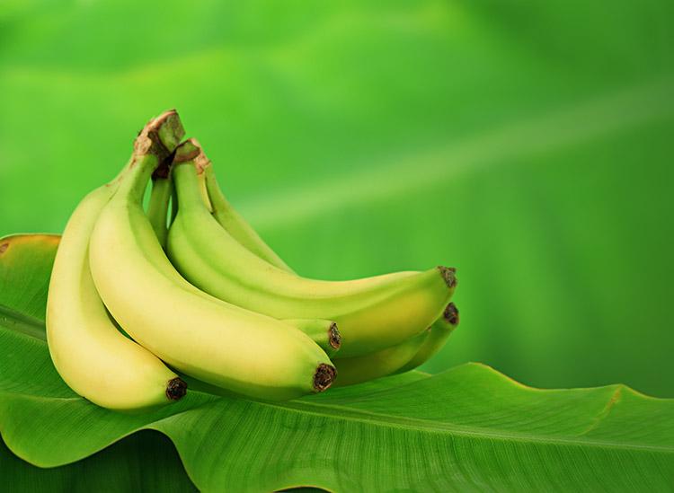 5 motivos para adicionar a banana verde na dieta | Alto Astral