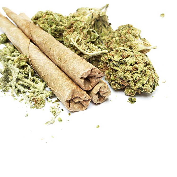 Ciência: existem problemas psicológicos decorrentes do uso de maconha? 