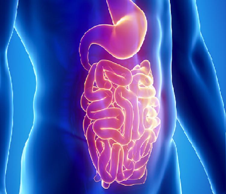Sistema digestivo: confira problemas causados pelas emoções 