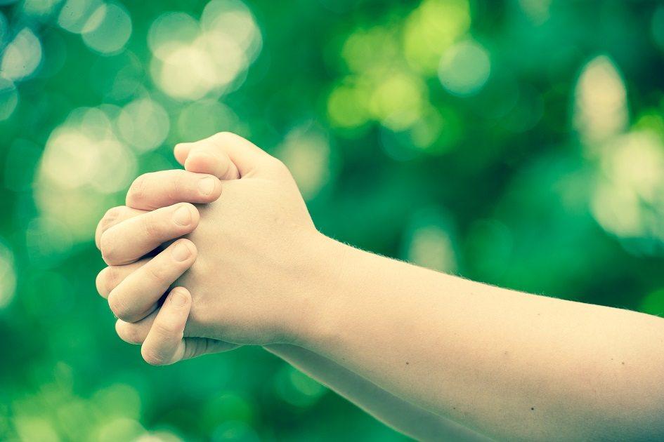 Para que seus filhos cresçam entendendo a importância da oração, ensine-os a rezarem estas belas preces e guie-os nos caminhos de Nosso Senhor