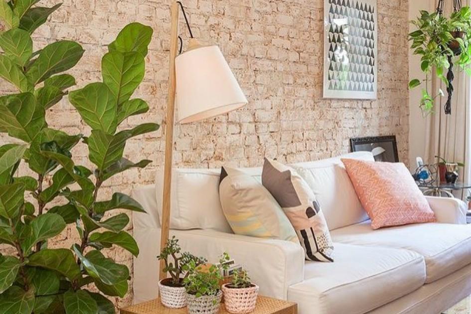 Decoração com plantas na área interna: inspire-se em 10 ideias lindas! 