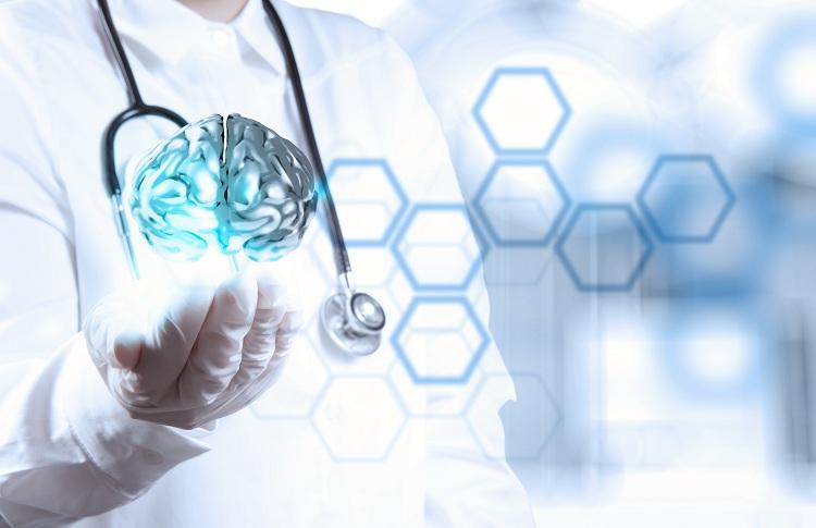 O cérebro começa a morrer aos 27 anos? Entenda essa teoria 