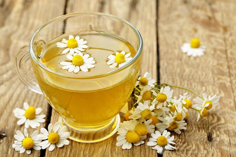 Saiba quais são as melhores opções de chá para consumir à noite e ganhe, além de um sono tranquilo, todos os benefícios da erva!