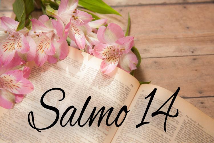 Salmo 14: Para purificar o coração 