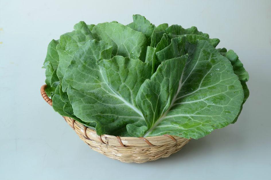 Dieta saborosa: confira duas receitas deliciosas com couve e prepare hoje mesmo! 