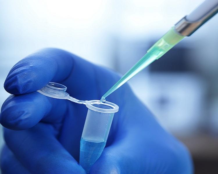 HPV e câncer de colo de útero: entenda como os problemas estão relacionados 