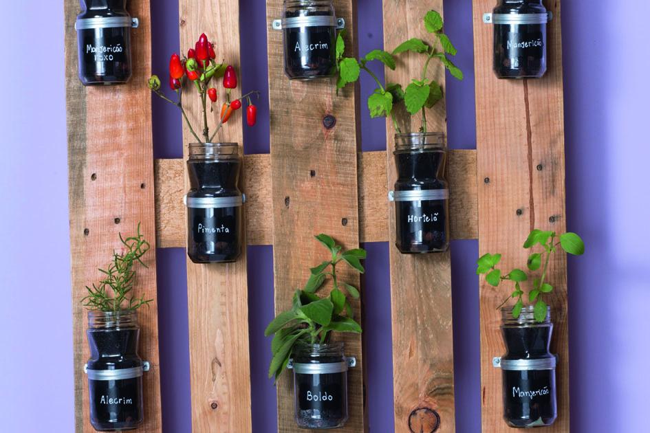 Horta vertical: passo a passo para você aprender a fazer em casa! 