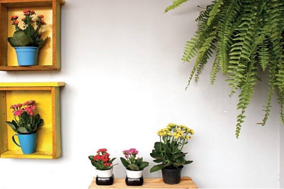 Varanda decorada: um jardim fofinho feito com menos de R$ 100 