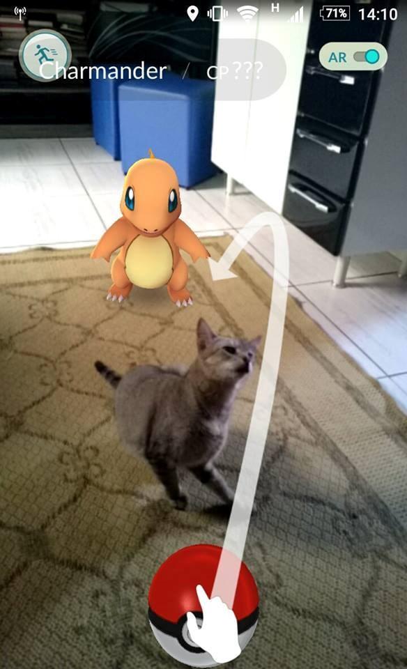 Aplicativo para smartphone Pokémon Go