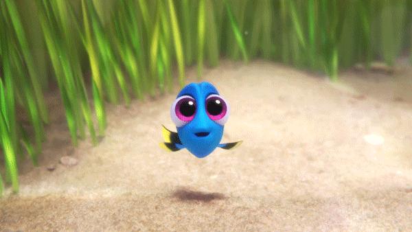 procurando-dory-gif-bebe-perda-de-memoria-recente