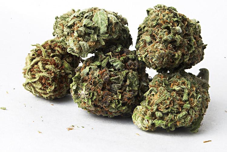 maconha esquizofrenia ciencia