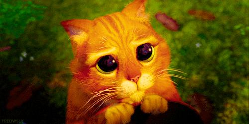 gif do gato de Botas com seus olhos fofos