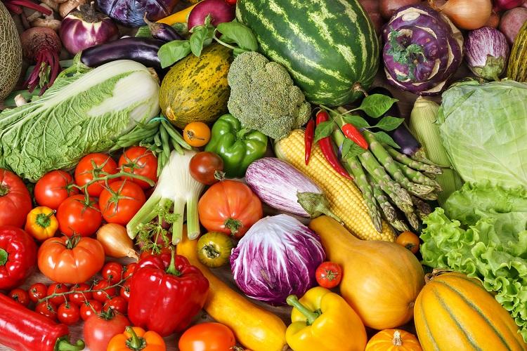 Tomates, melancia, pimentão, milho, abóbra