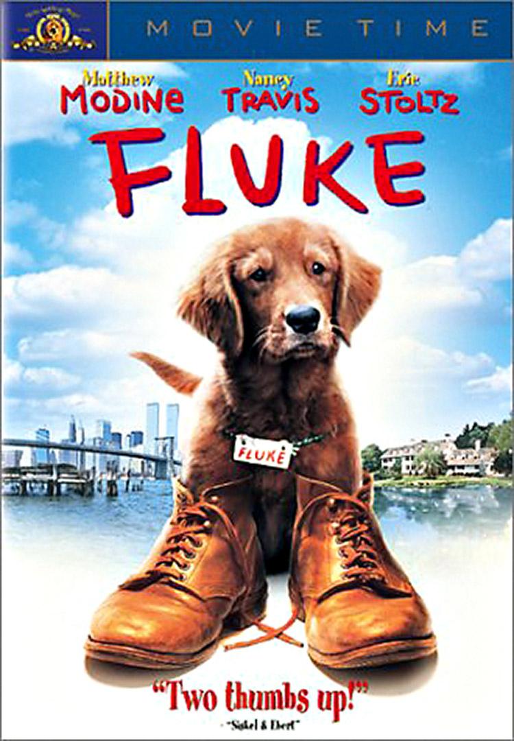 Fluke espiritos homens