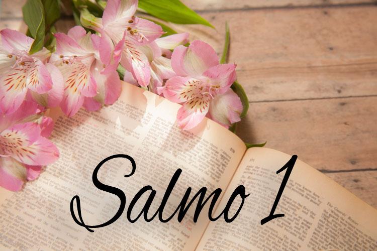 Montagem do Salmo 1