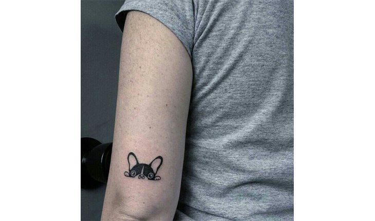 tatuagem de pets