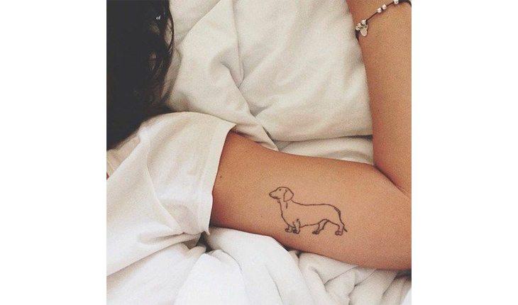 tatuagem de pets