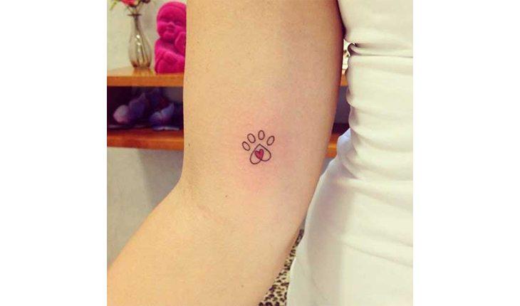 tatuagem de pets