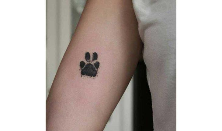 tatuagem de pets