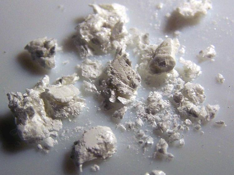 cocaína, coca, século XIX