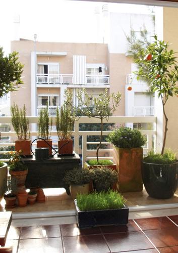 Varanda com plantas e cerca viva
