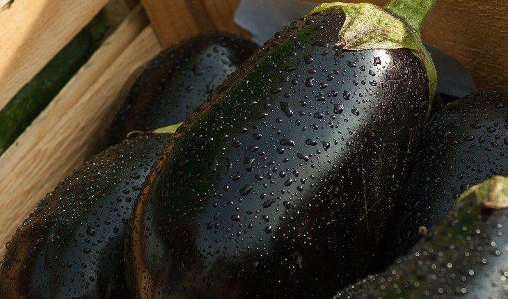 Berinjela fresca