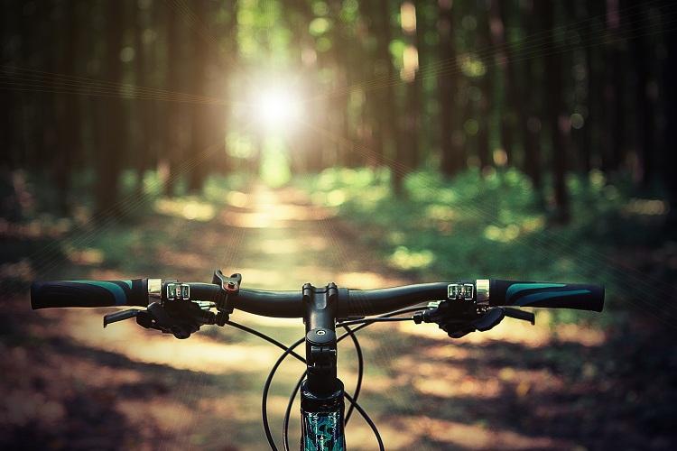 Saiba por que o ciclismo é uma boa opção de atividade física