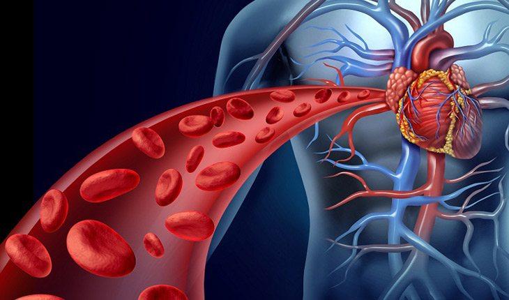 ilustração de um corpo na cor azul com uma faixa que simboliza sangue chegando ao coração