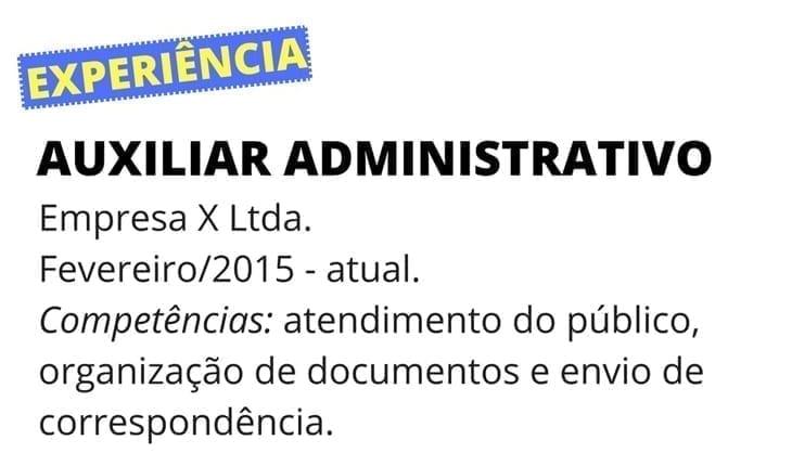 como organizar o currículo 2