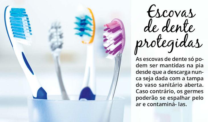 Na foto há um copo com 4 escovas de dente de cores diferente. O fundo é claro. Ao lado está escrita a dica para ficar livre de bactérias nas escovas de dente: as escovas de dente só podem ser mantidas na pia desde que a descarga nunca seja dada com a tampa do vaso sanitário aberta. Caso contrário, os germes poderão se espalhar pelo ar e contaminá- las.