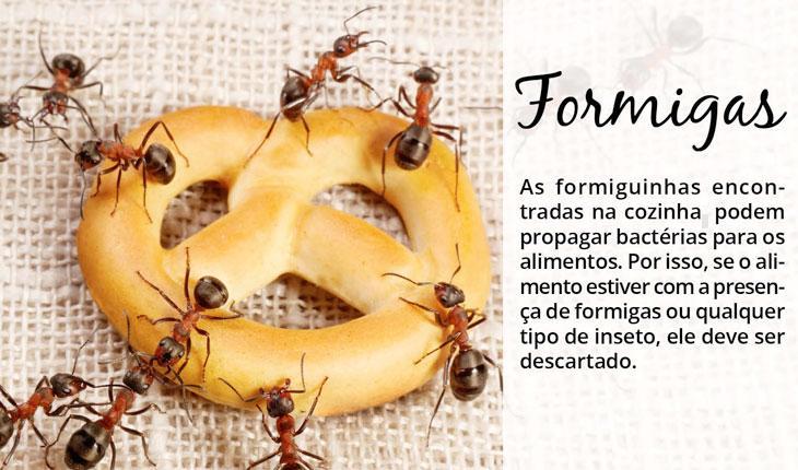 Na foto há uma bolacha em formato redondo com formigas em cima dela. Ao lado está escrita a dica para ficar livre de bactérias trazidas pelas formigas: as formiguinhas encontradas na cozinha, podem propagar bactérias para os alimentos. Por isso, se o alimento estiver com a presença de formigas ou qualquer tipo de inseto, ele deve ser descartado.