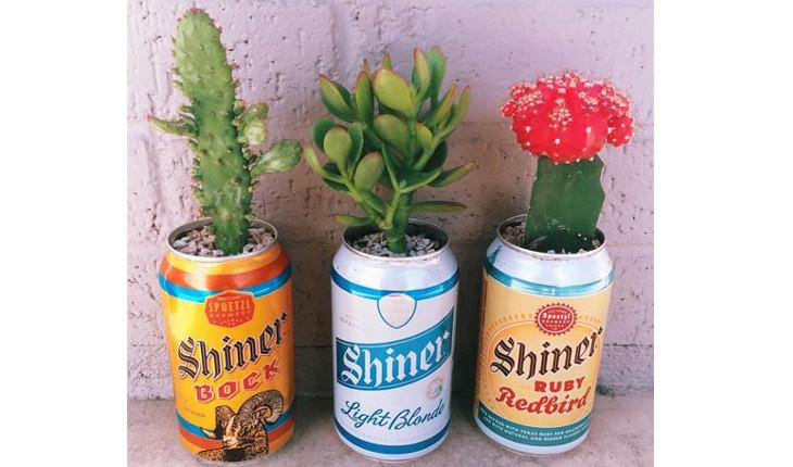 Na foto há 3 latas de cerveja, cada uma de uma cor, mas da mesma marca, e dentro de cada uma das latinhas há um tipo de planta. Na primeira há um cacto, na segunda uma suculenta e na terceira um cacto com flor em cima.