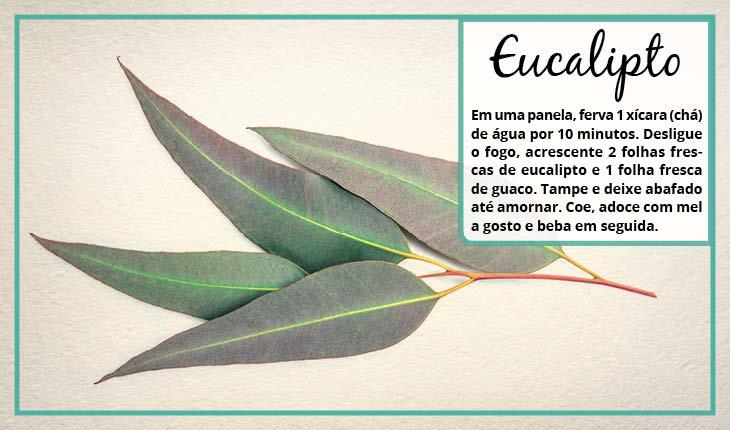 Fotomontagem com receita de remédio caseiro para rinite e sinusite com eucalipto