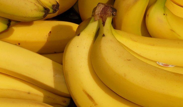 Na foto há vários cachos de banana