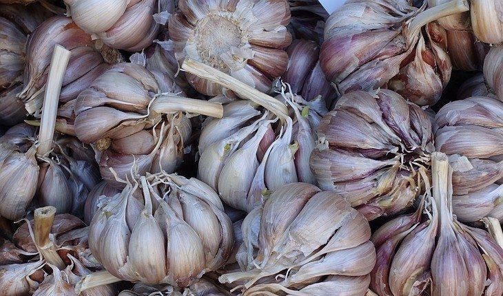 Alho alimento