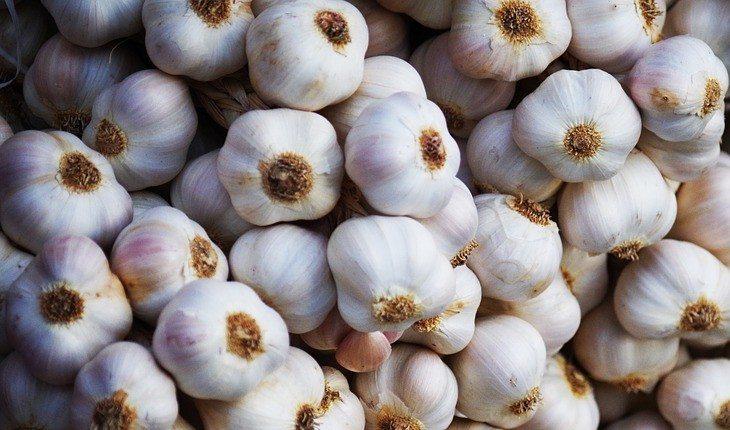 Alho alimento