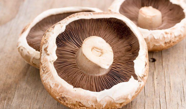 cogumelos