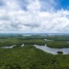 dia da amazônia