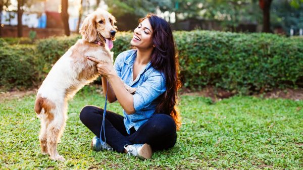 Veterinária dá dicas para passeio com pets