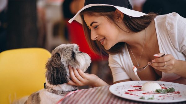 Entenda o significado de pet friendly