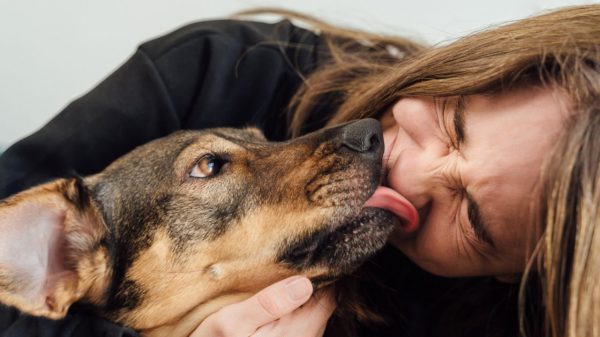 Animais de estimação são capazes de promover o bem-estar aos seus tutores