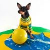 Em clima de Copa do Mundo, conheça alguns cachorros clubistas que amam seus times