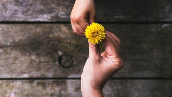 Entenda como a gentileza pode melhorar a sua vida e a de outras pessoas