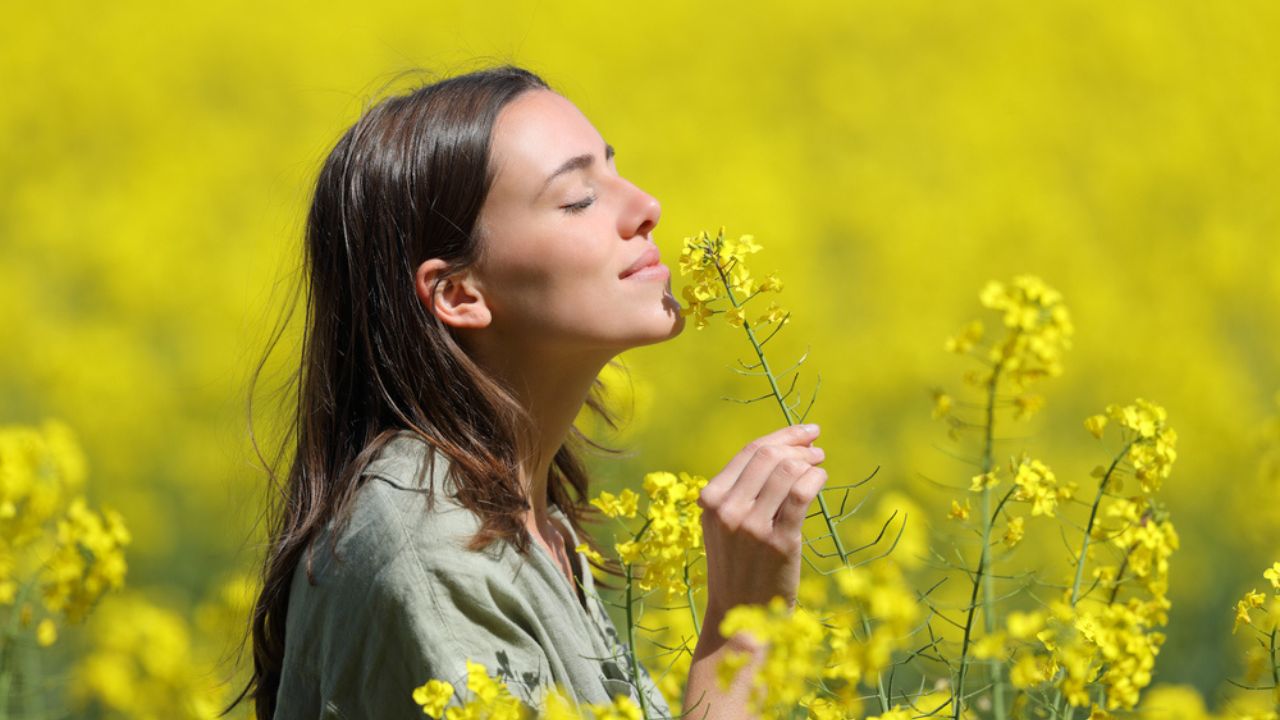 Confira agora qual é a sua flor de acordo com os signos