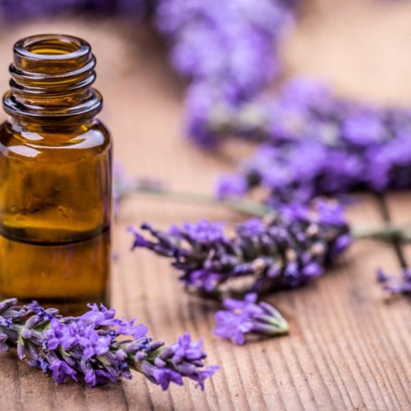como óleos essenciais florais podem beneficiar corpo e mente