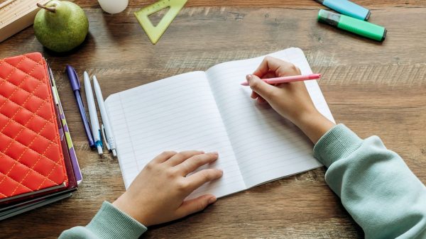 Saiba como montar um cantinho de estudos para o seu filho em casa