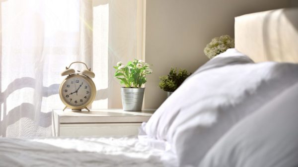 Saiba quais as melhores plantas para ter no quarto