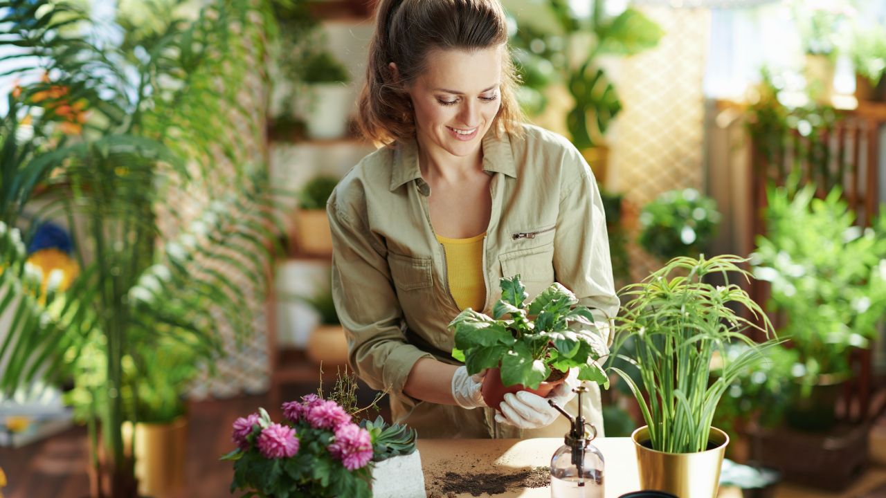 Inverno: 9 dicas para cuidar do seu jardim durante a estação