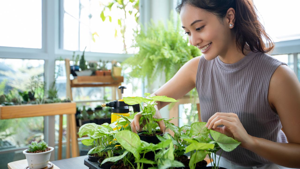 Quer um jardim, mas tem pouco espaço? Use essas ideias