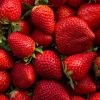 Morango: 6 benefícios incríveis da fruta para a saúde